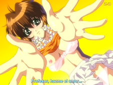 Shin Ban Megami Tantei Vinus File